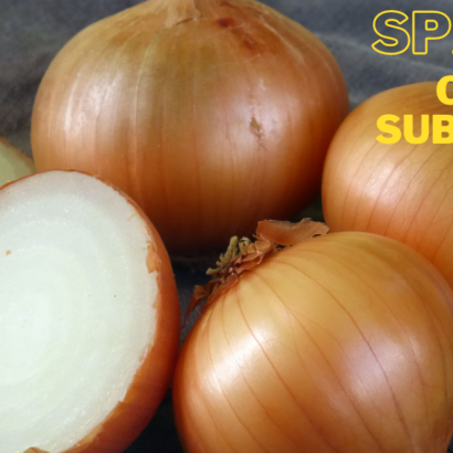 Spanish Onion Substitute